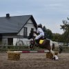 bABIE lATO 2018
